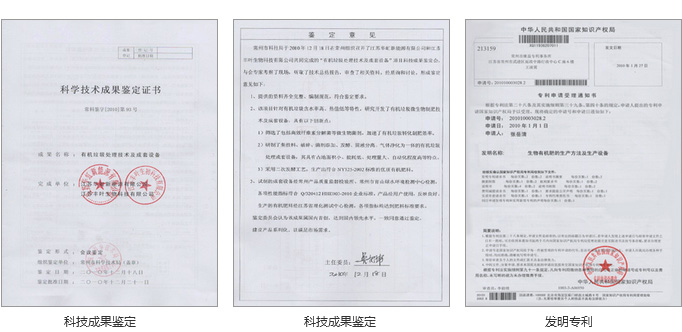 豐葉